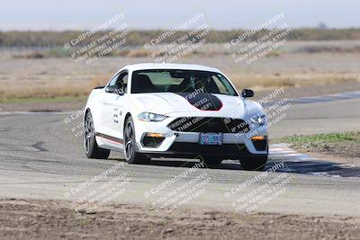 media/Nov-01-2025-PCA Central Coast (Sat) [[5e27ded23e]]/White Group/Grapevine/